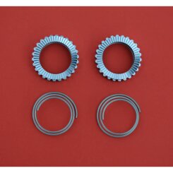 DT Swiss Zahnscheiben Ratchet Superlight SL 54 Zähne...