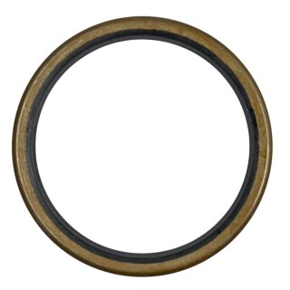 DT SWISS Dichtung für Freilauf 30x36x2,5mm der Naben  180, 190, 240, 340, 350, 440, 540