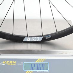 Hinterrad DT Swiss 350 Singlespeed Nabe & Hybrid U 533 28" 29" Felge - Pinion Trekking & Tour Schnellspanner 135mm