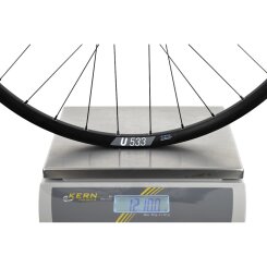 Hinterrad Pinion DT Swiss 350 Singlespeed Boost 12x148mm 6-Loch & Hybrid U 533 28" / 29" Pinion Trekking & Tour
