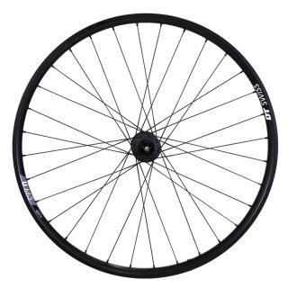 Hinterrad Pinion DT Swiss 350 Boost Singlespeed 12x148mm 6-Loch & U 663 28" 29" Pinion Trekking & Tour