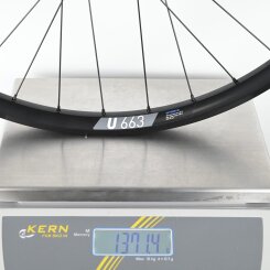 Hinterrad Pinion DT Swiss 350 Boost Singlespeed 12x148mm...
