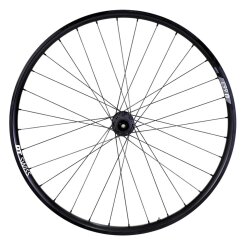 Hinterrad Pinion DT Swiss 350 Boost Singlespeed 12x148mm...