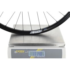 Hinterrad Pinion DT Swiss 350 Boost Singlespeed 12x148mm...