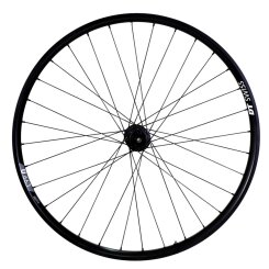 Hinterrad Pinion DT Swiss 350 Boost Singlespeed 12x148mm Centerlock & U 663 28" 29" Pinion Trekking & Tour