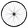 Hinterrad Pinion DT Swiss 350 Boost Singlespeed 12x148mm Centerlock & U 663 28" 29" Pinion Trekking & Tour