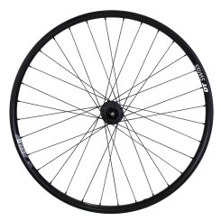 Hinterrad DT Swiss 350 Singlespeed Nabe & DT Swiss...